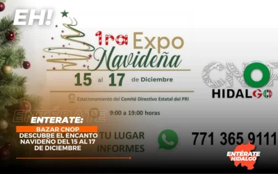 Descubre el Encanto Navideño en el Bazar de la CNOP: Un Vistazo a las Iniciativas que Transformarán Hidalgo en el 2024