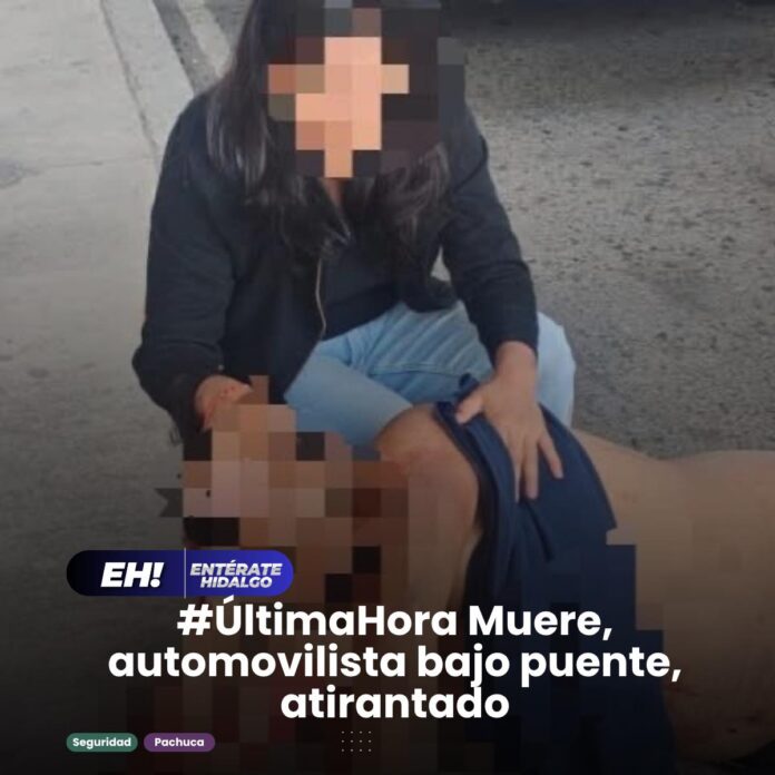 rina en puente atirantado