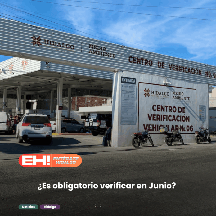 verificación